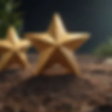 Notable A Comprehensive Exploration of Morningstar 5-Star Growth Funds Notable A Comprehensive Exploration of Morningstar 5-Star Growth Funds