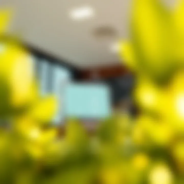 A visual guide to various personal credit line upgrade options