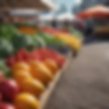 A vibrant farmer's market showcasing a variety of organic fruits and vegetables.